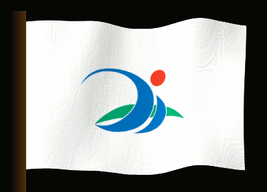 miyakojima flag